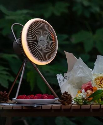 Вентилятор-фонарь на ножках Mobi Garden Fan F2 NX22669002 black 6926767322145 фото